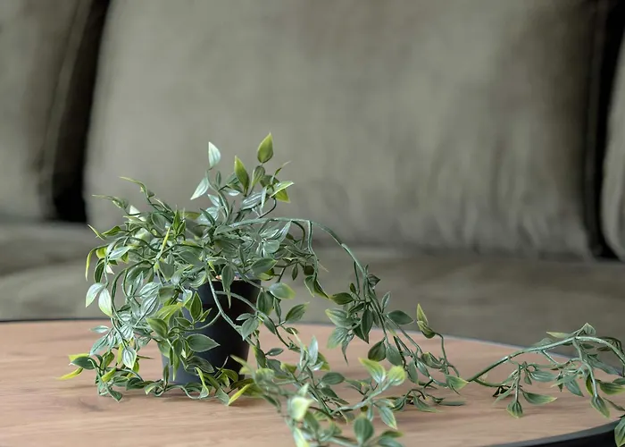 Kilinskiego Prestigious With Parking By Renters Prestige Łódź